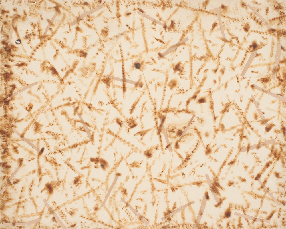 Jan Steklík, Propalovaná kresba, 1969, pálený papír, náplasti, 503 x 407 mm, KGVUZ, inv. č. Gk-3340