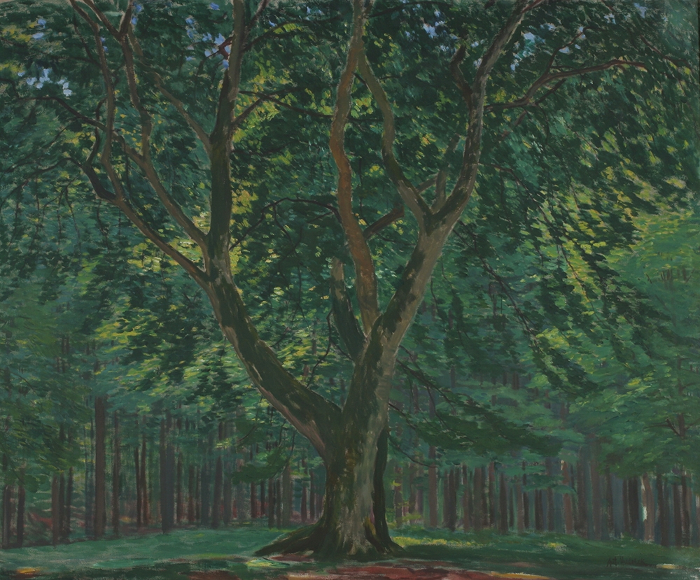 Antonín Hudeček, Les na Rujaně, kolem 1914-1915, olej, plátno, 100 x 120cm, inv. č. O-34