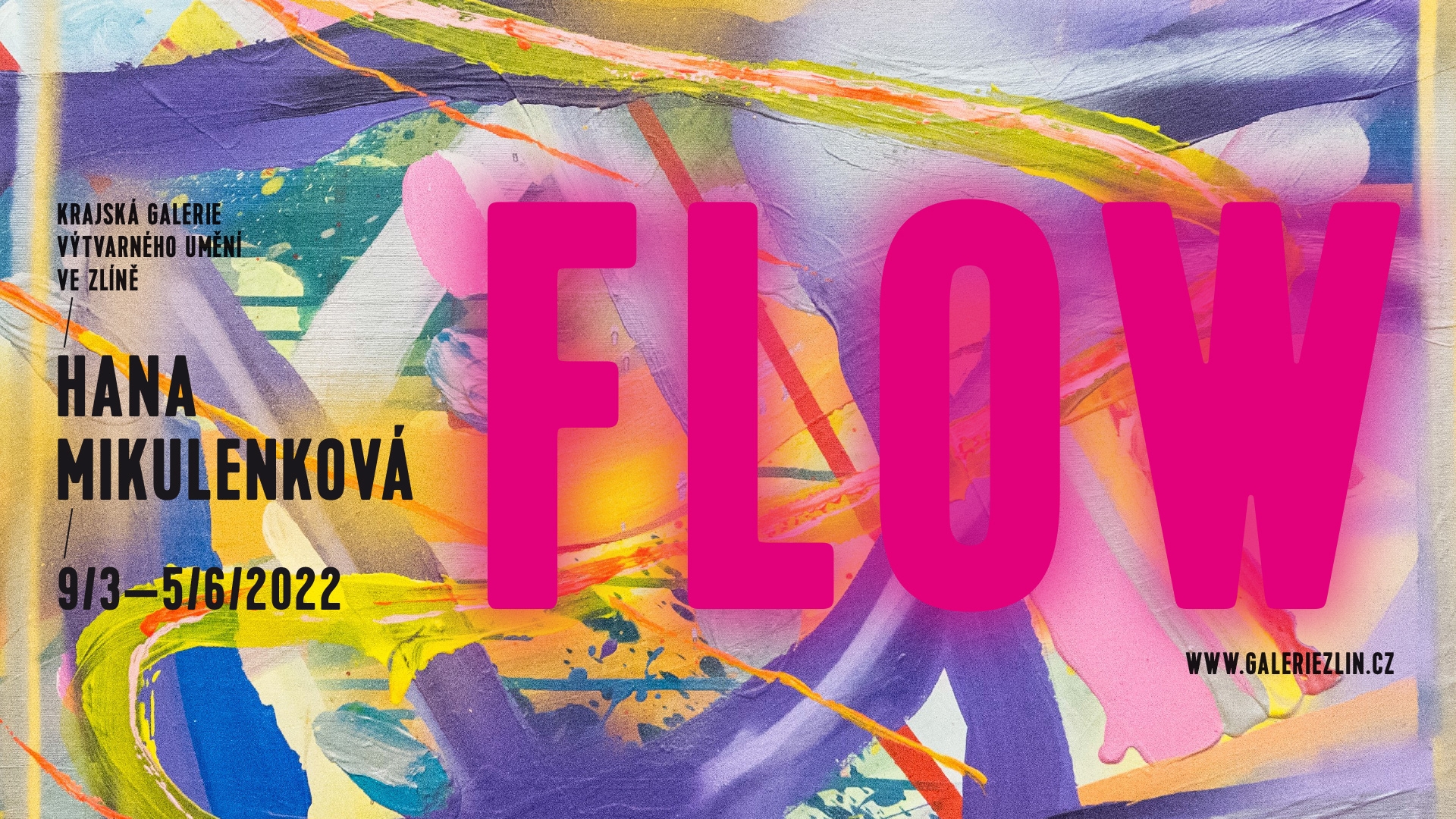 výstava Hana Mikulenková – FLOW od 9. 3. do 5. 6. 2022